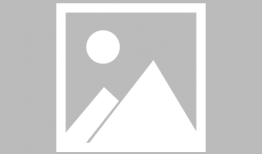 黑玫瑰电视剧,暗夜绽放的秘密